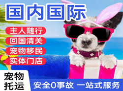 右旗巴丹吉林机场托运国际宠物托运 【国